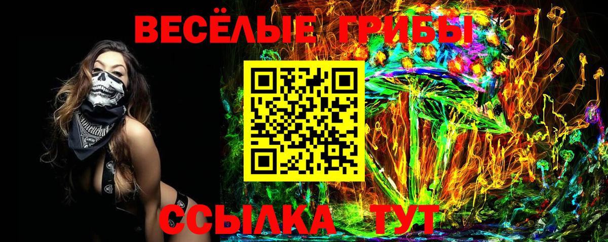 Химки  Галлюциногенные грибы Cubensis  Вход с VPN  Галлюциногенные грибы мухоморы 