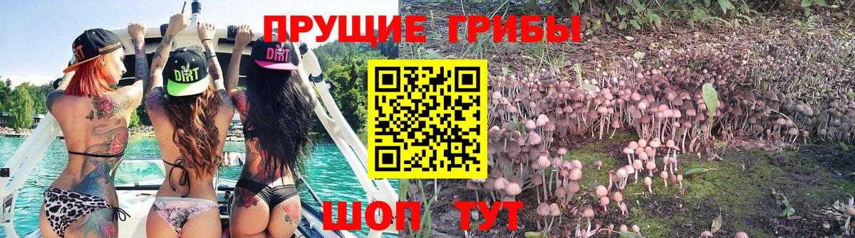 Галлюциногенные грибы ЛСД Химки
